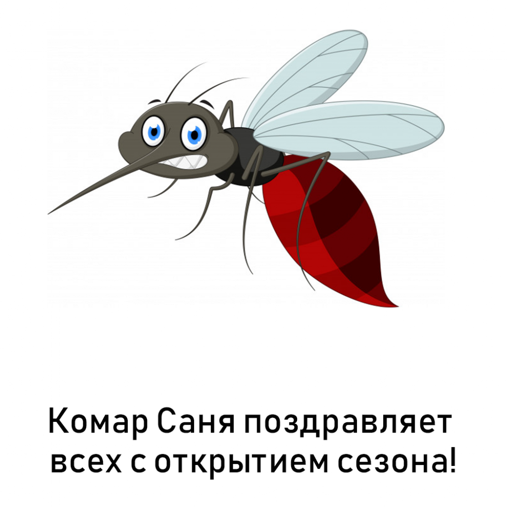 Жужжание комара