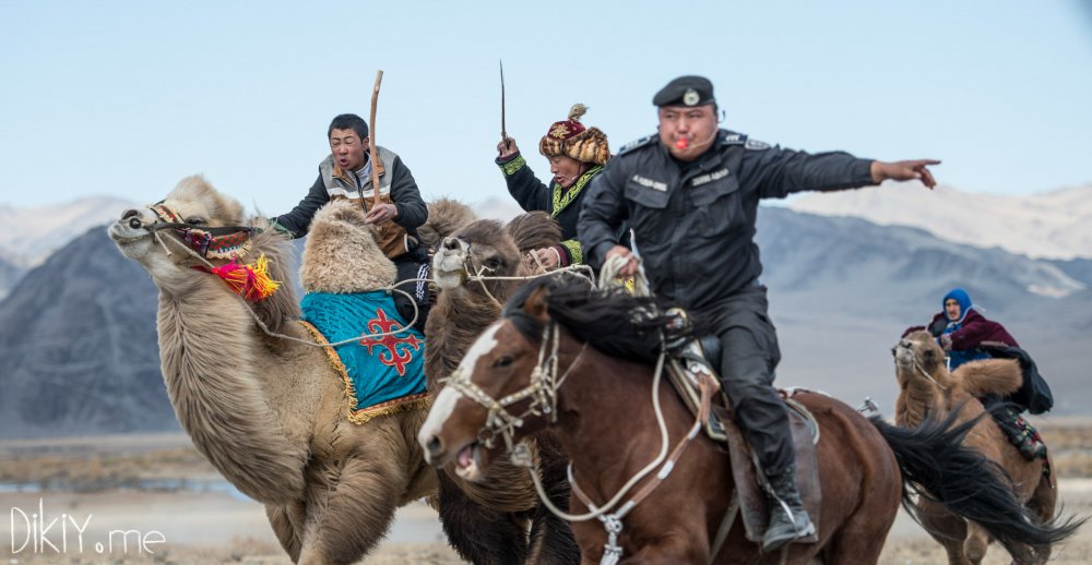 Монгол на верблюде