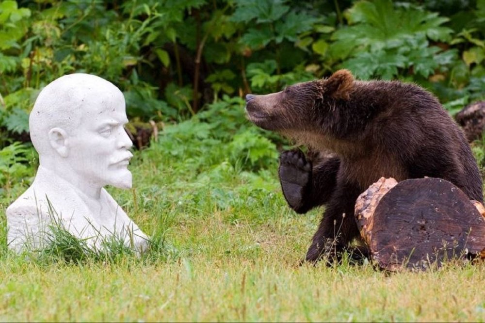 Прикольный медведь