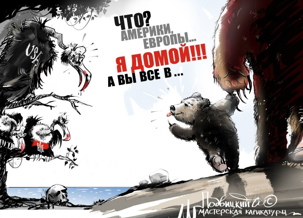 Виталий Подвицкий медведь Крым