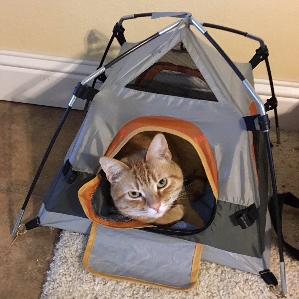 Палатка для кота туристическая