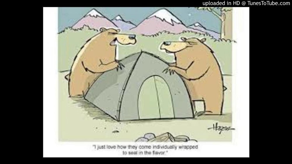 Медведь в палатке юмор