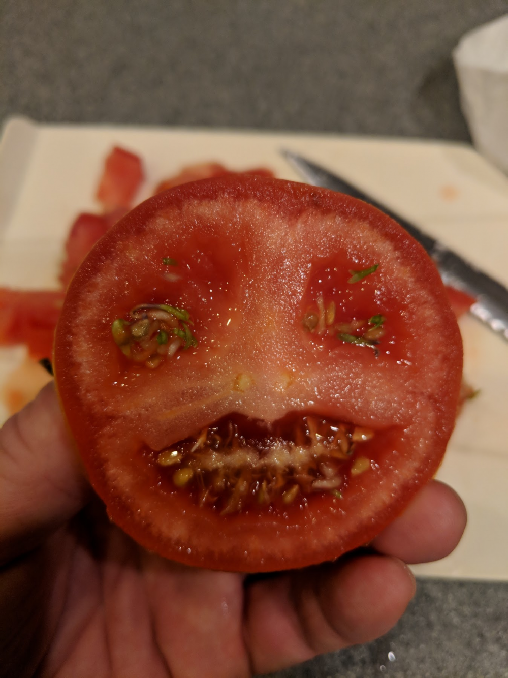 Бешеный помидор