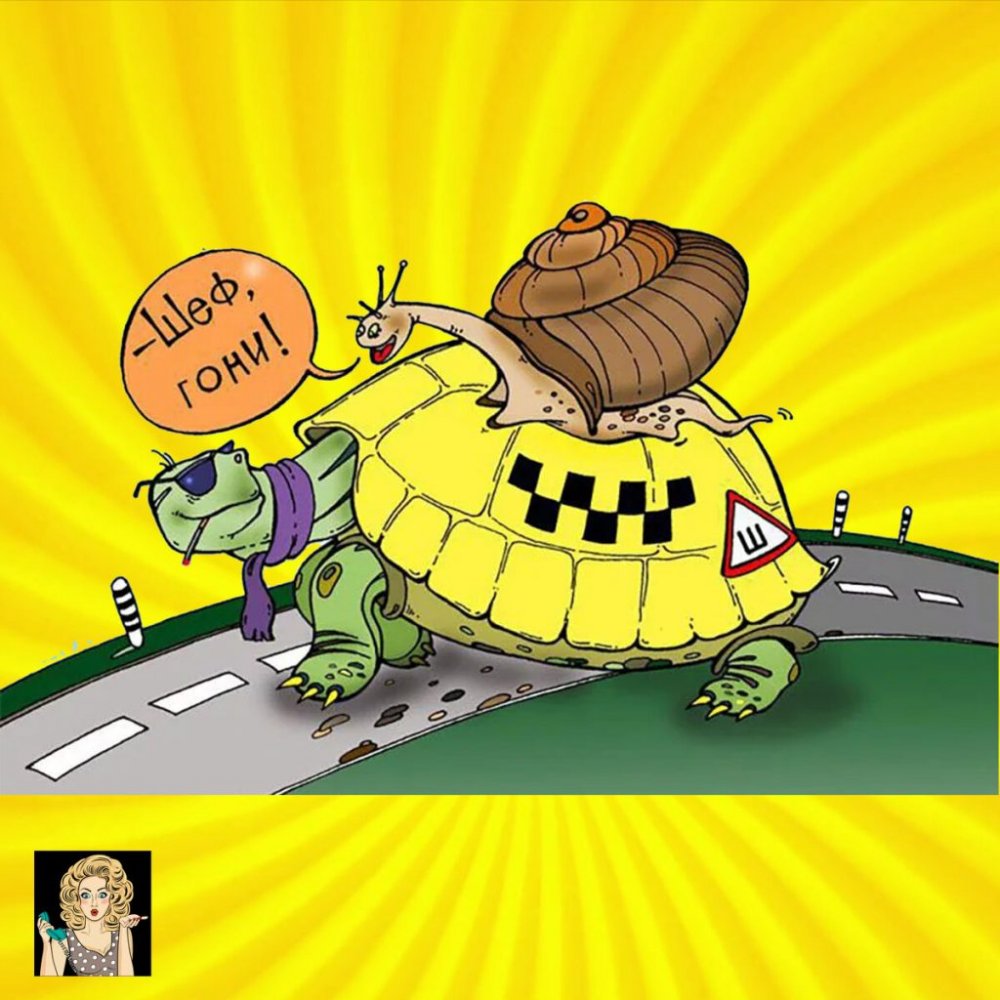 Карикатуры про черепах
