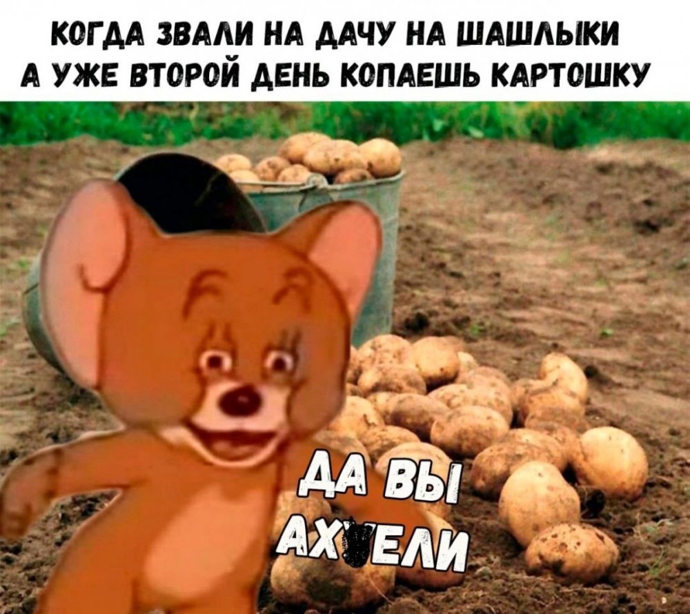 Мемы про картошку копать