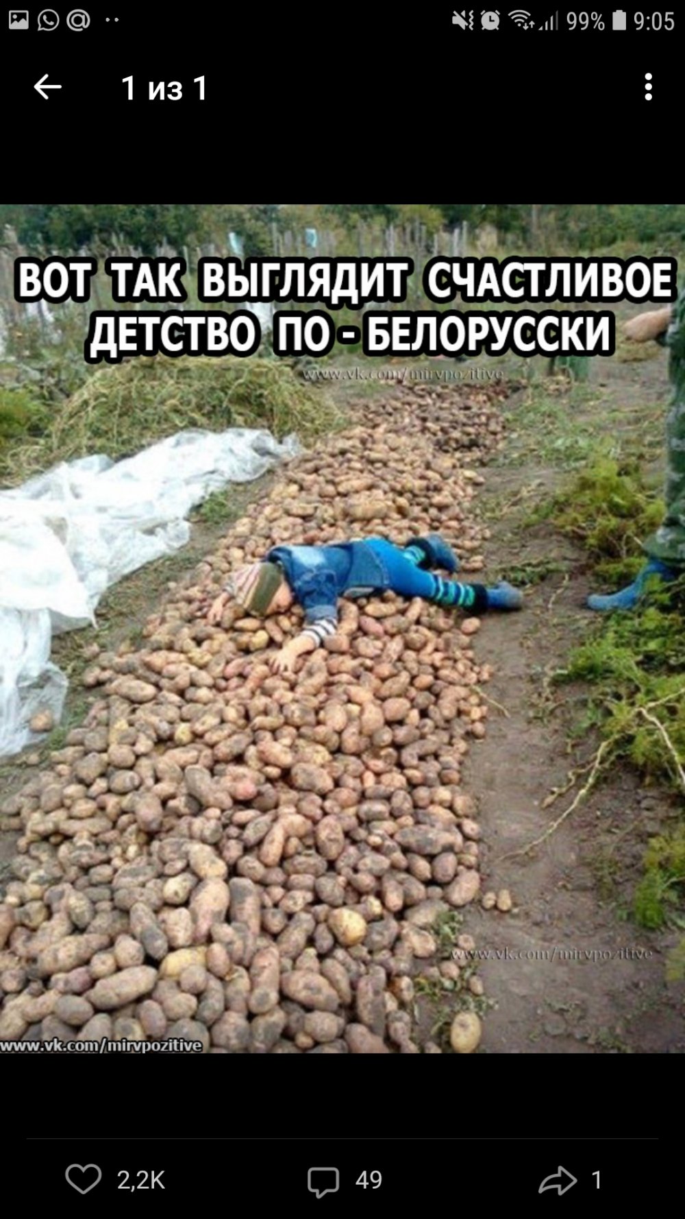 Шутки про копание картошки