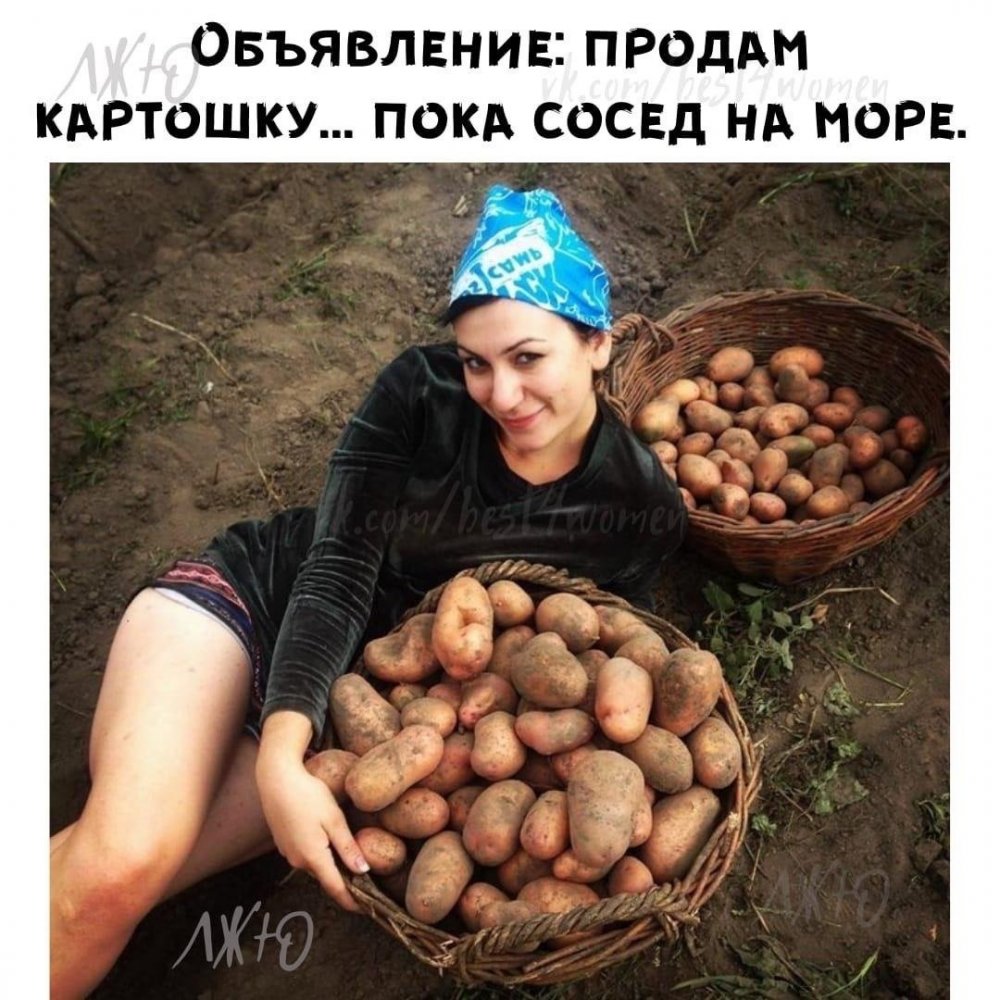 Приколы про белорусов и картошку