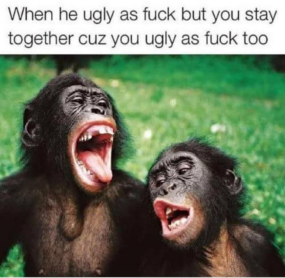 Анекдоты про обезьян смешные