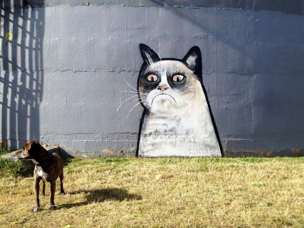 Кот на заборе арт