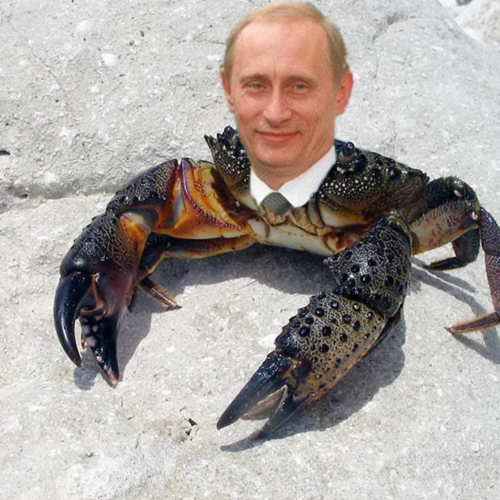 Путин краб Медведев Шмель