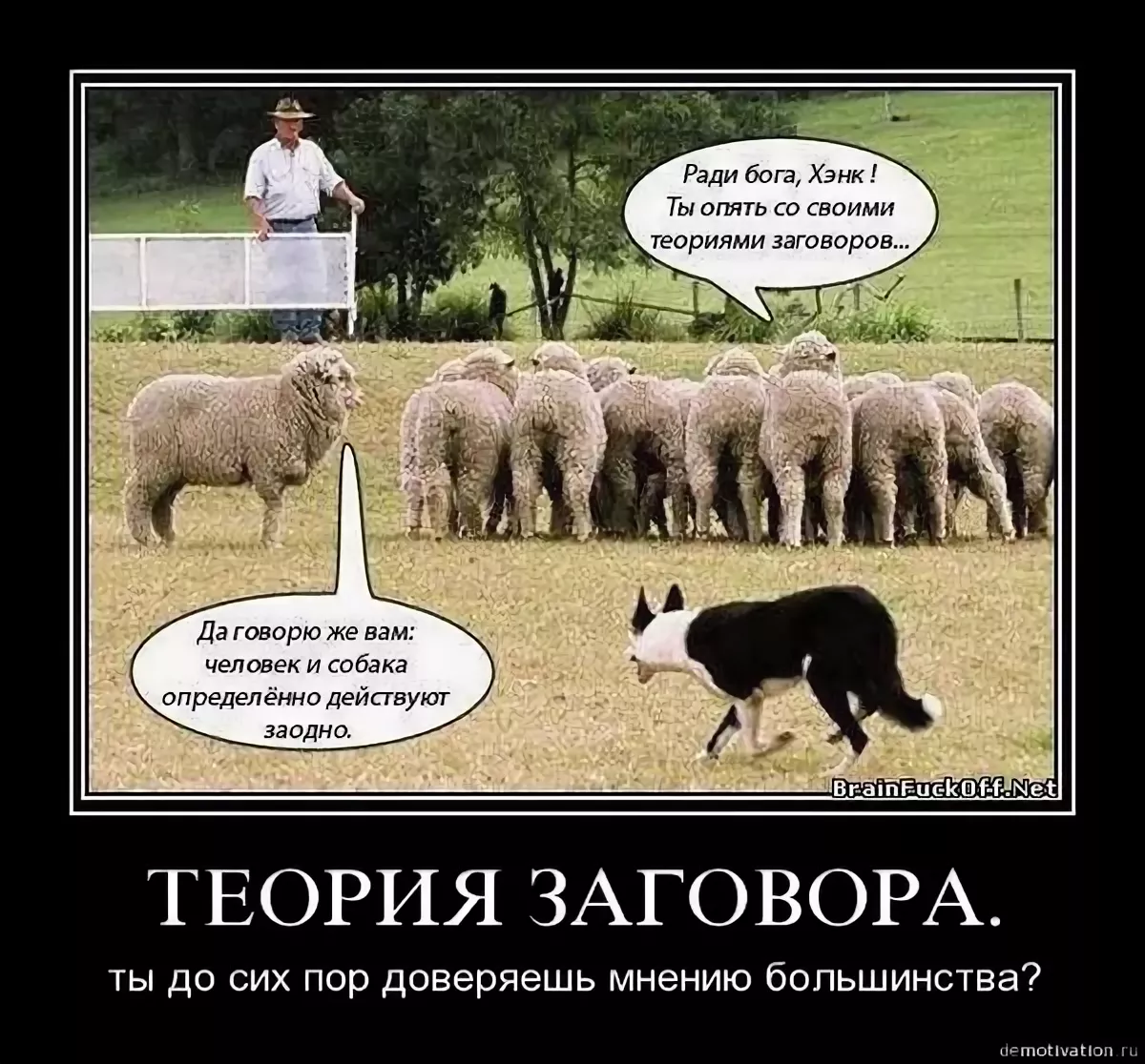 Всю жизнь овца волков. Овцы теория заговора. Опять ты со своими теориями заговора. Говорю вам собака и человек действуют заодно. Теория заговора демотиваторы.