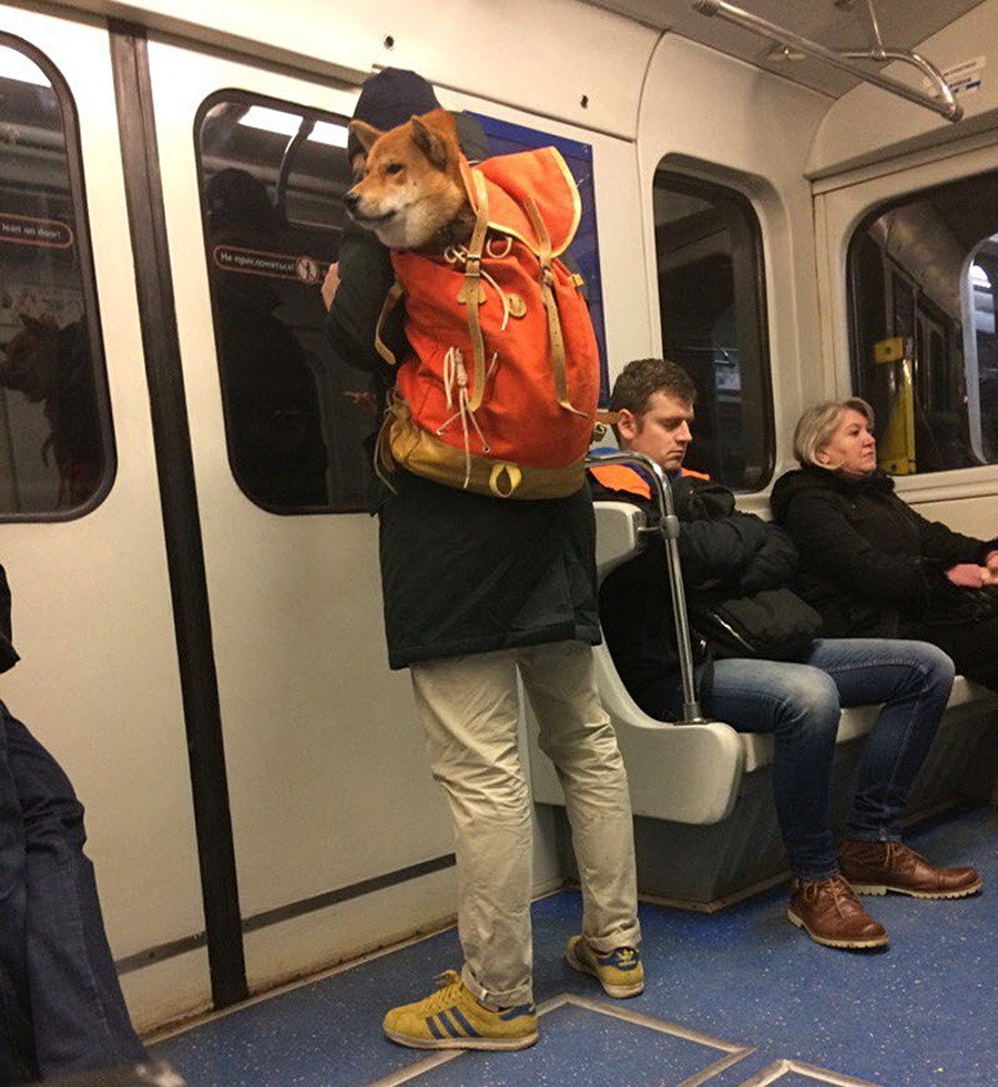 Чудики в Московском метро
