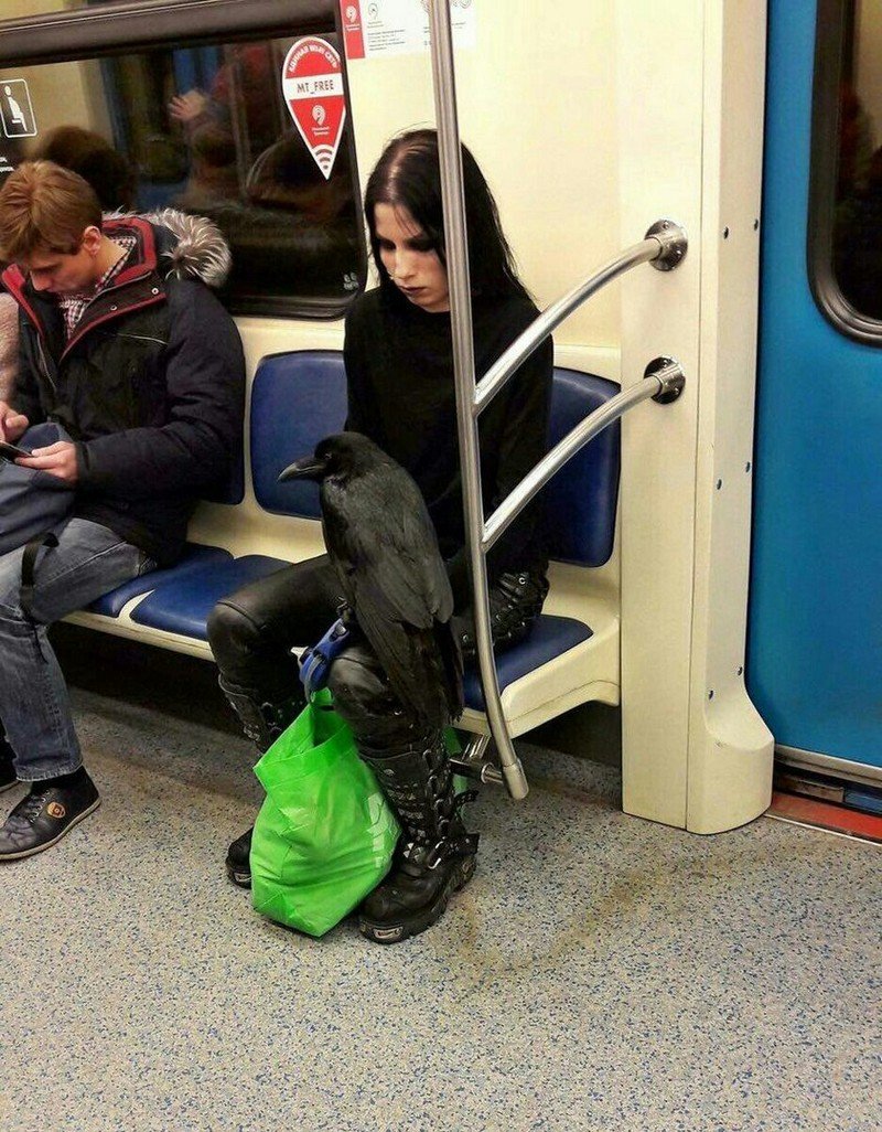 Модники Московского метро