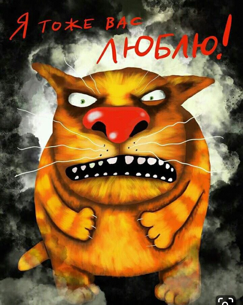 Вася Ложкин злой котик