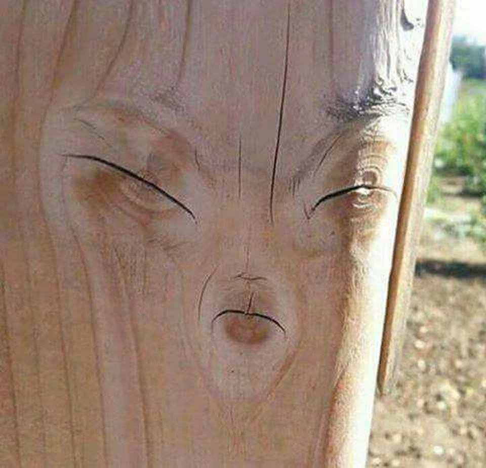 Мемы про древесину