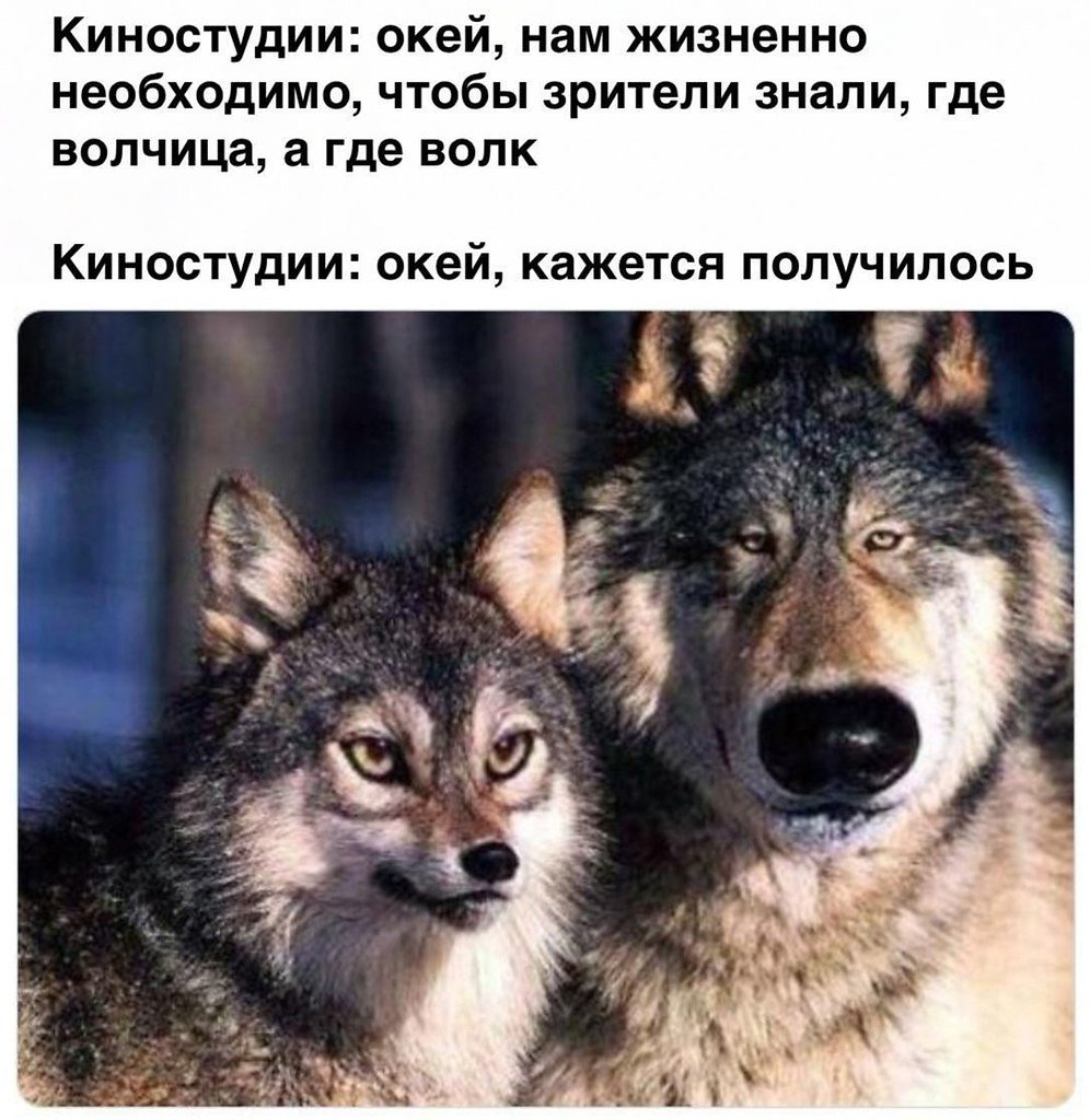 Волк и волчица Мем