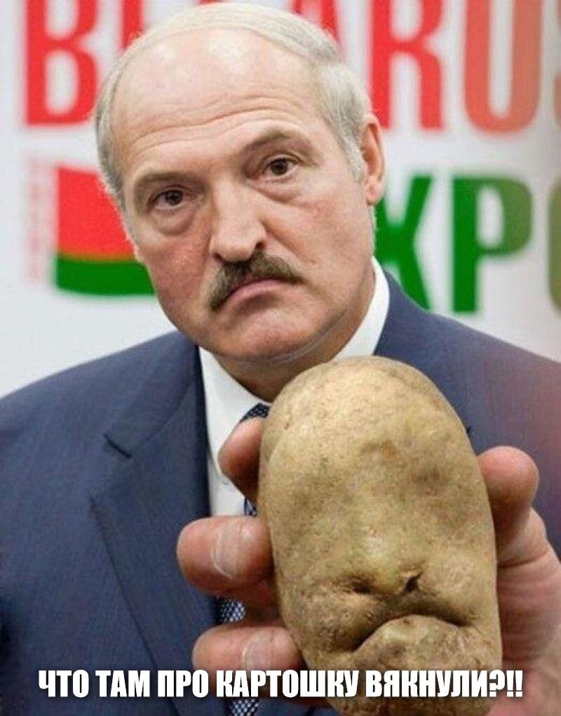 Президент Белоруссии Лукашенко и картошка