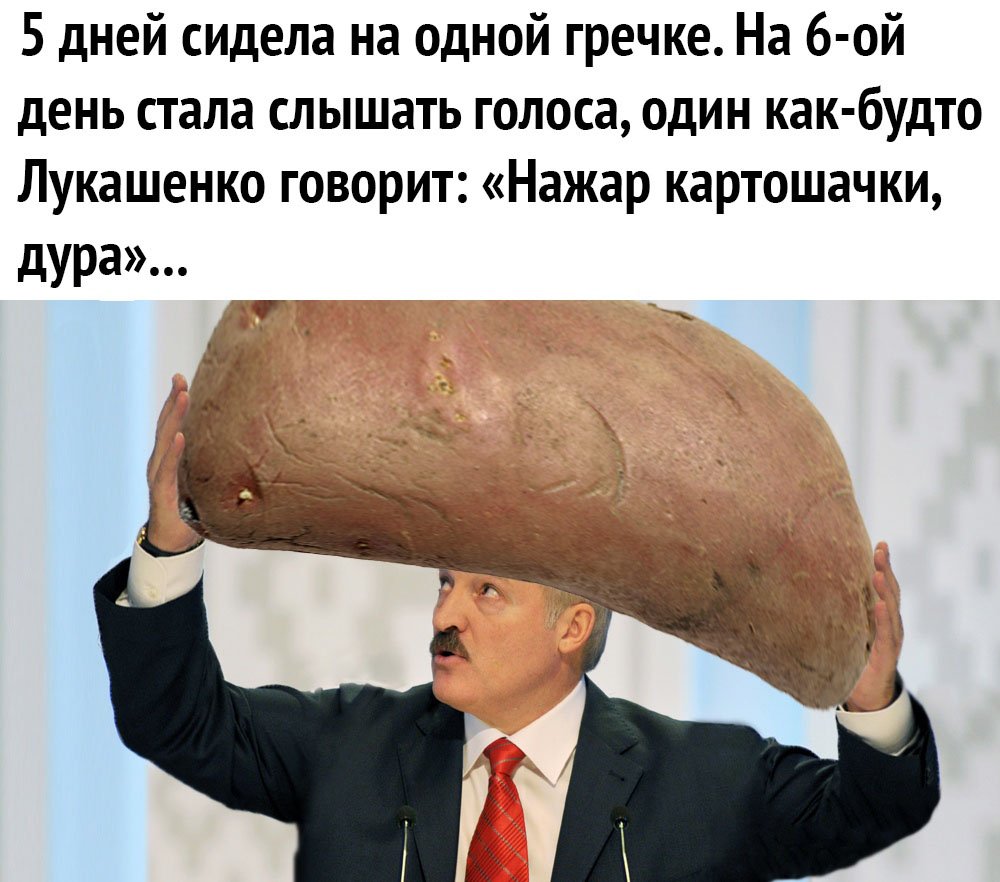 Лукашенко мемы про картошку
