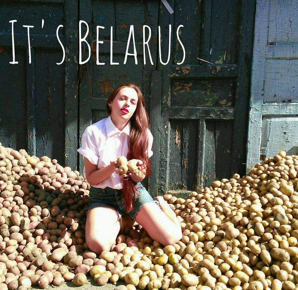 Белорусы и картошка