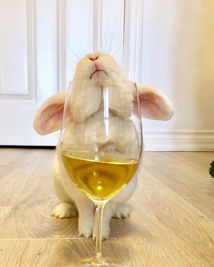 Кролик с бокалом