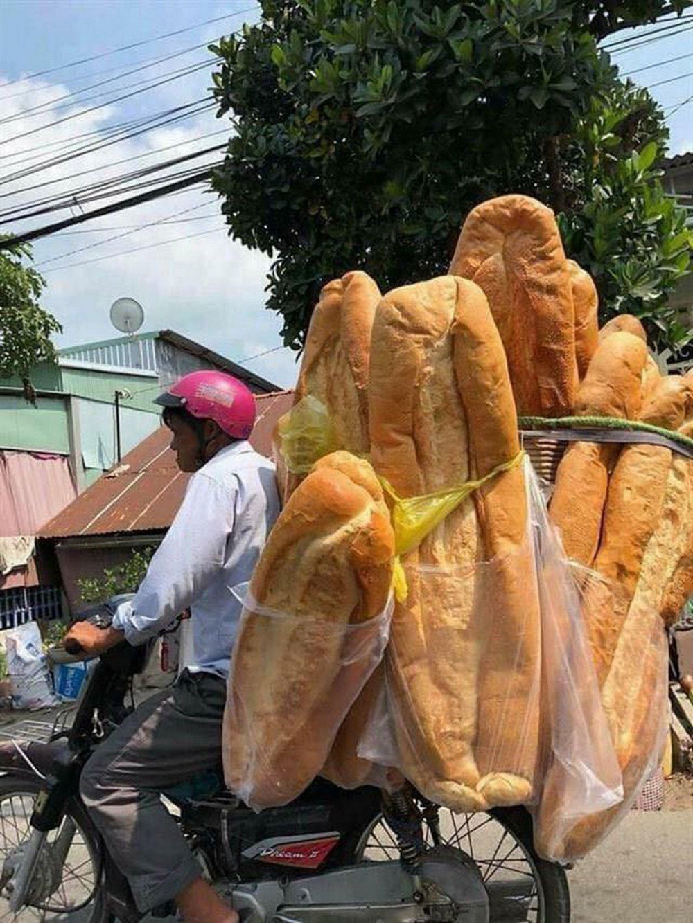 Гигантский хлеб во Вьетнаме