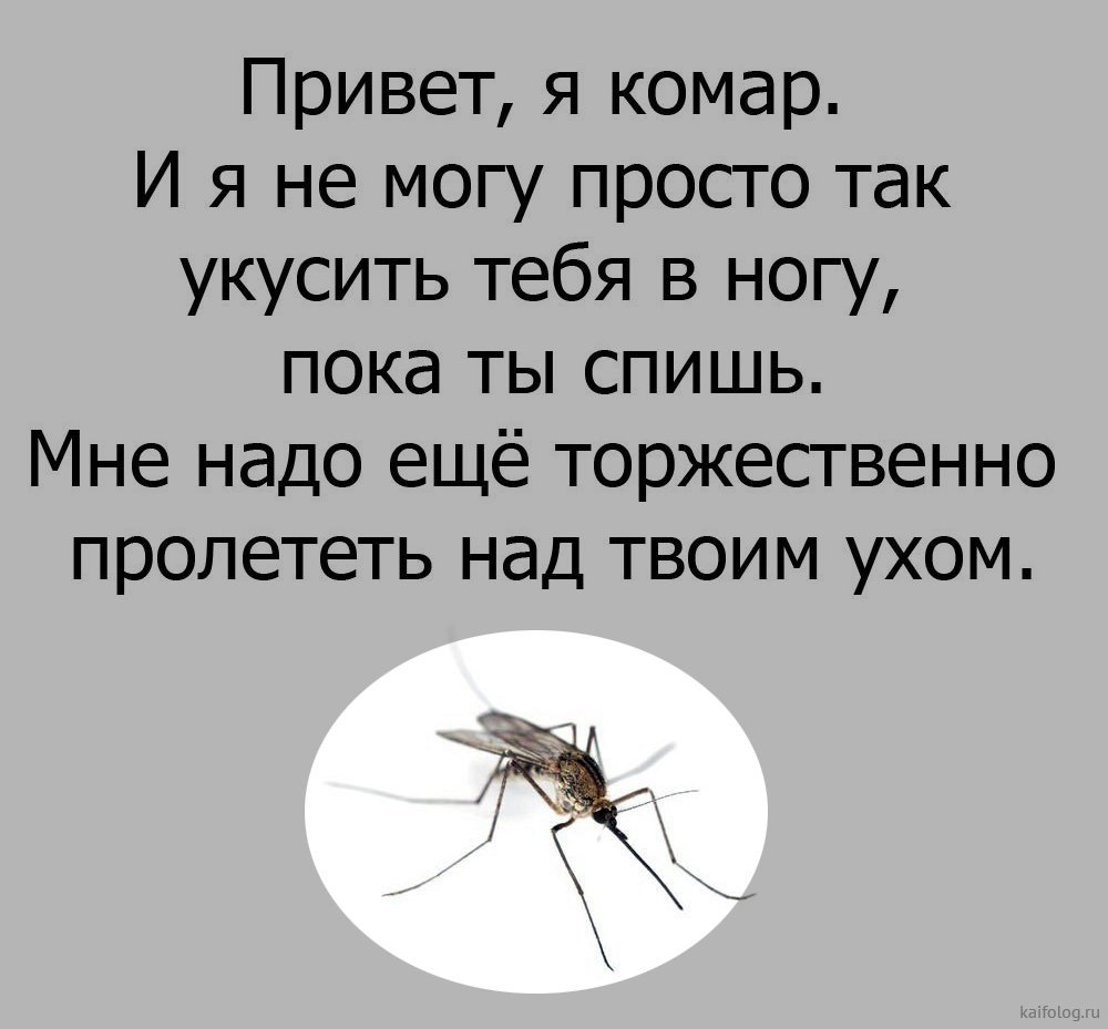 Анекдот про комара