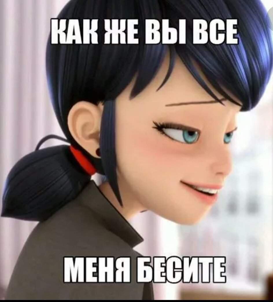 Мемы ледибак и СУПЕРКОТ