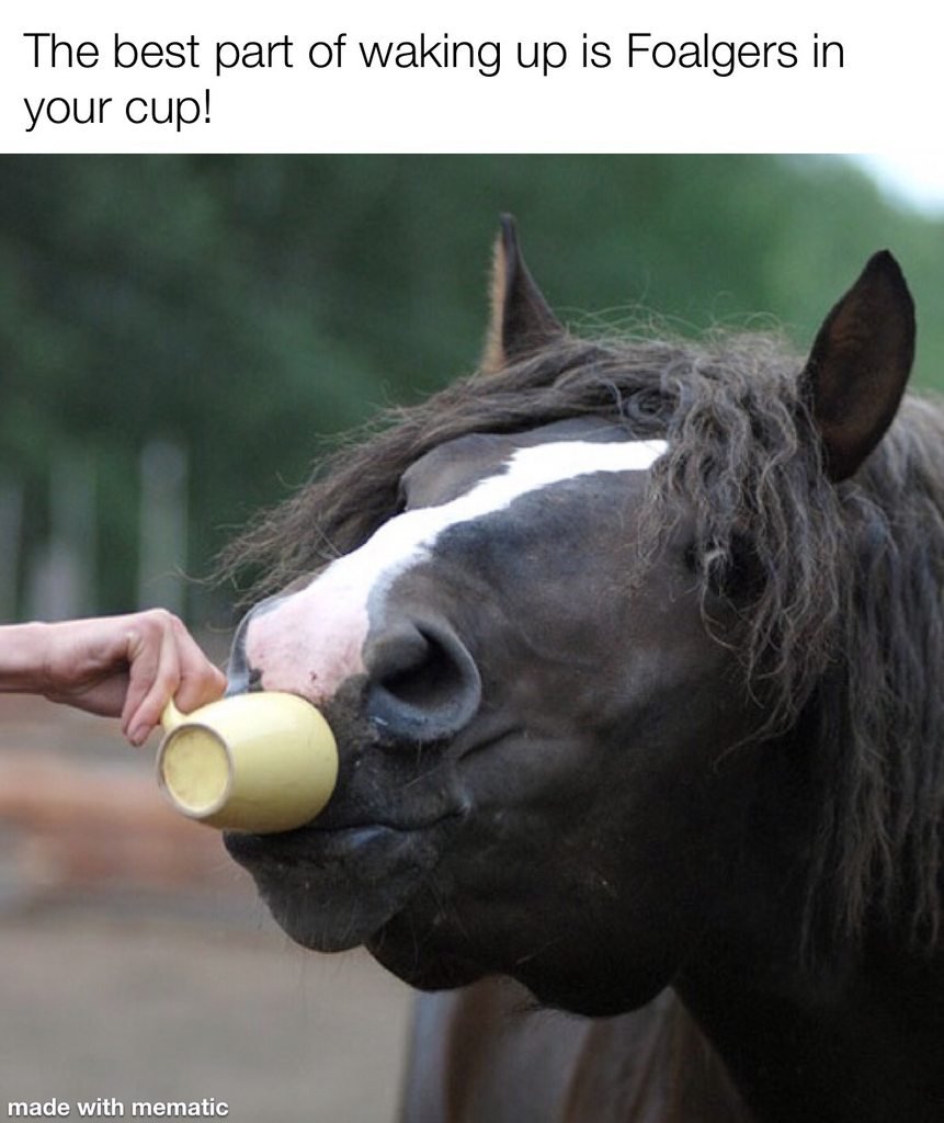 Конь пьет