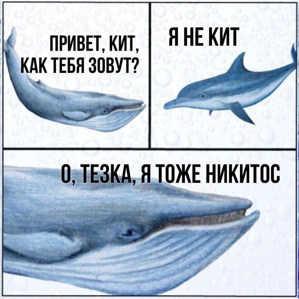 Мемы про китов