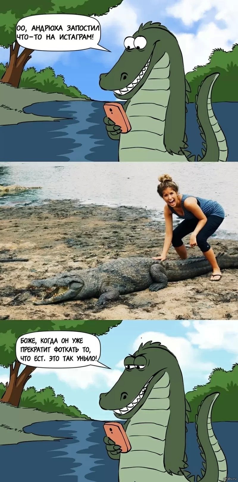 Приколы про крокодилов