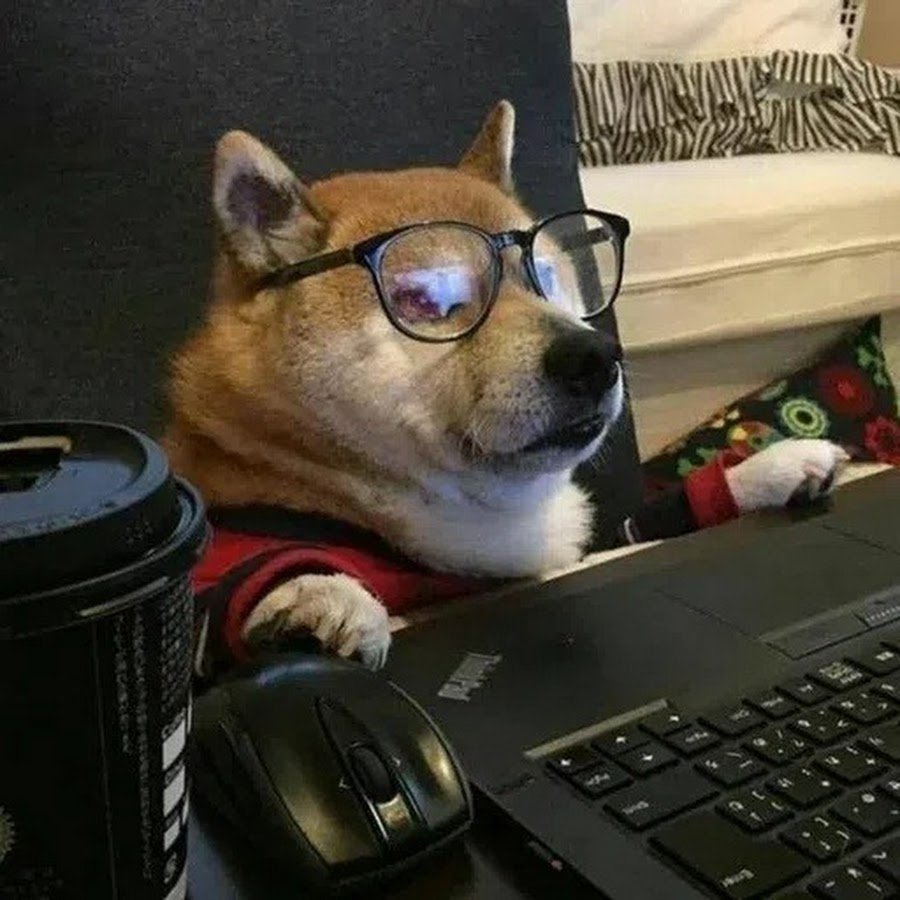 Собака хакер