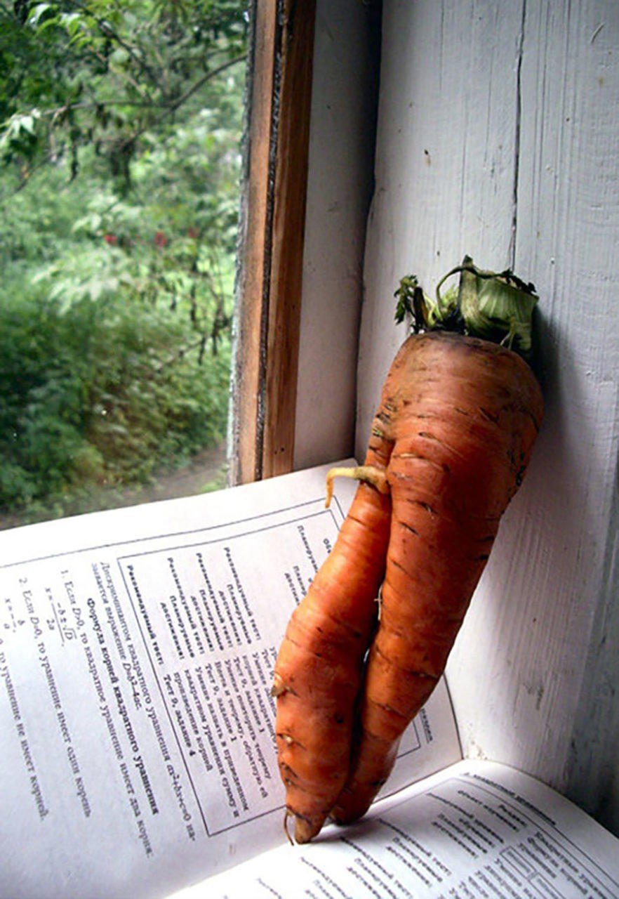 Морковь юмор
