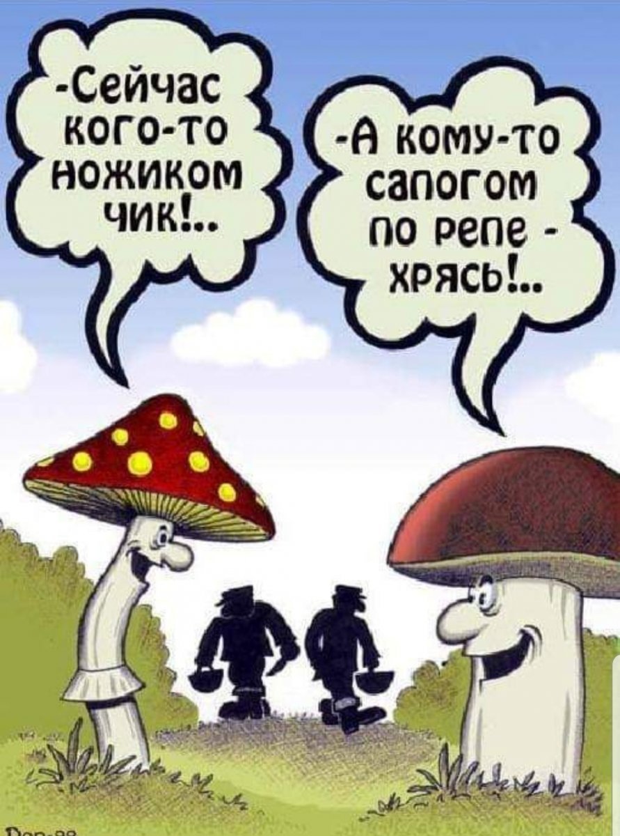 Шутки про грибы