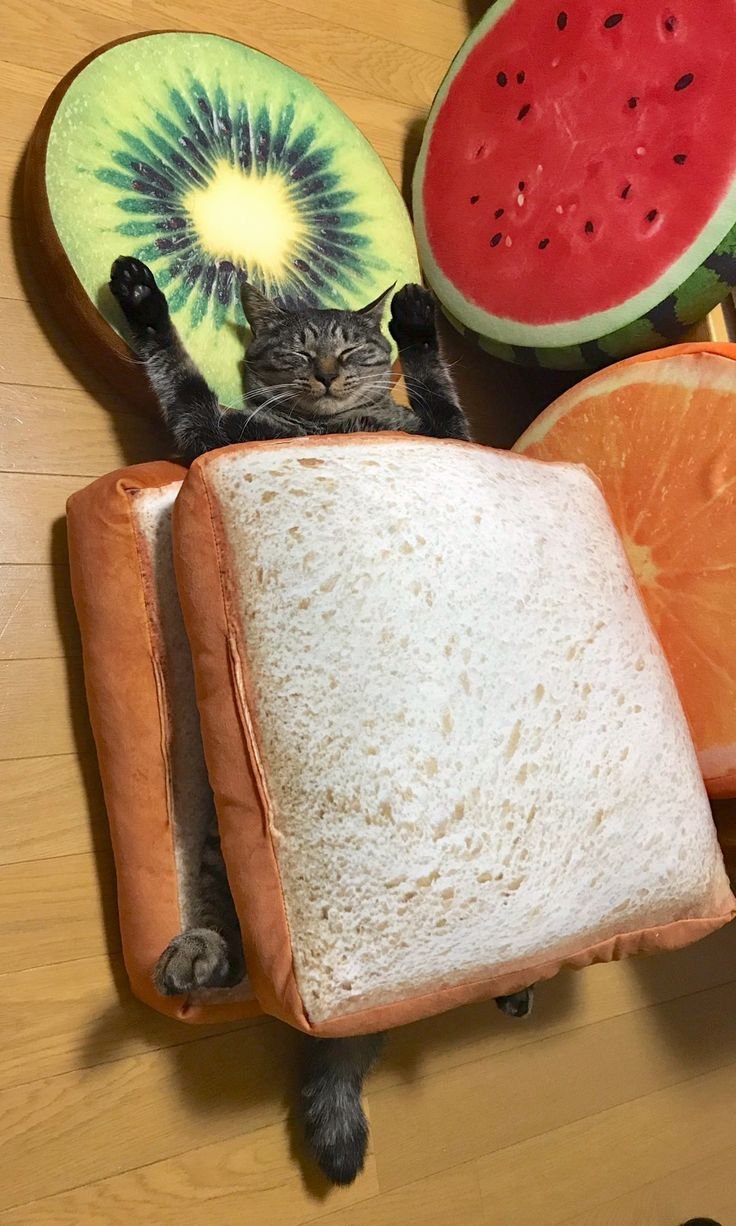 Бутерброд в виде кота