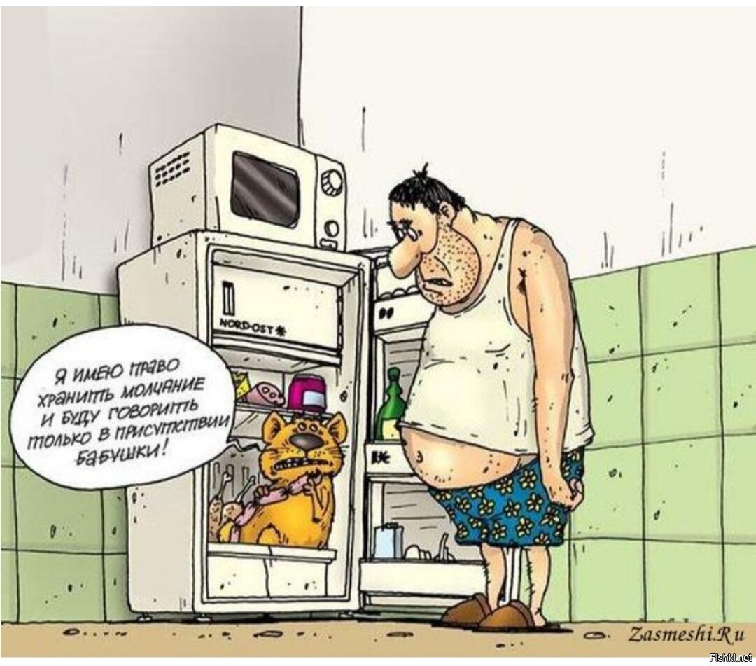 Достает бывшая мужа. Карикатуры смешные. Карикатуры на мужчин и женщин. Картинки карикатуры смешные. Холодильник карикатура.