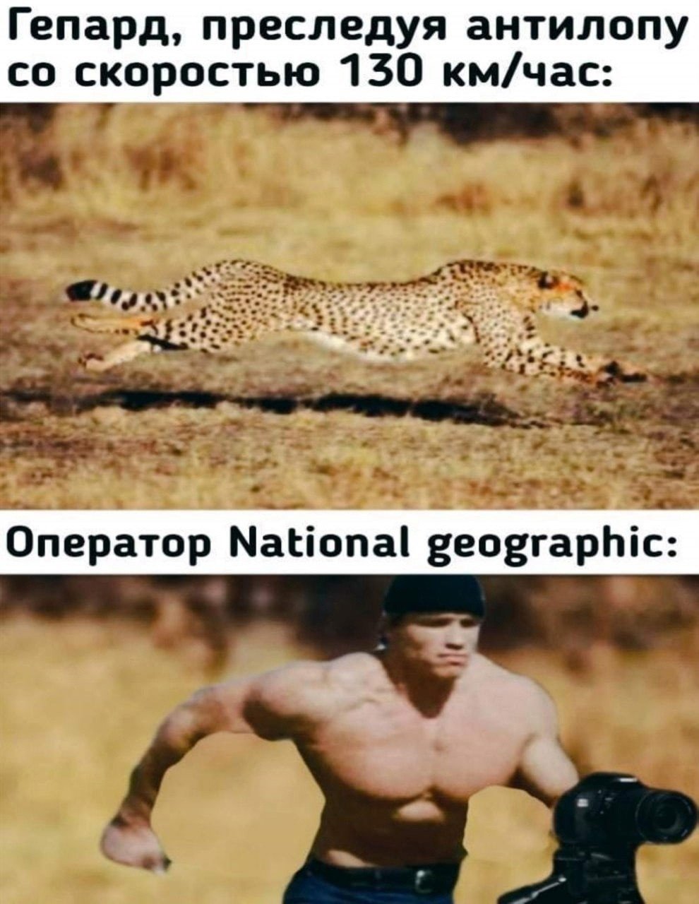 Оператор National Geographic Мем