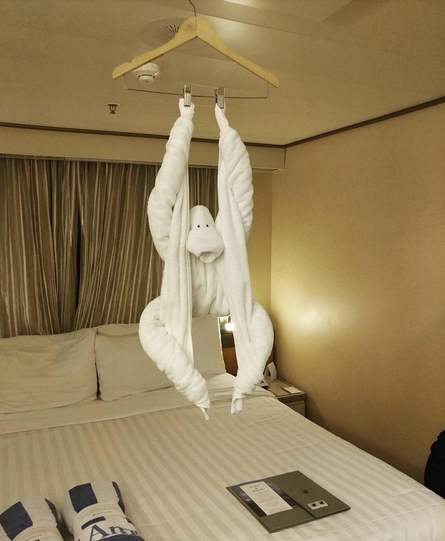 Смешные полотенца в отеле