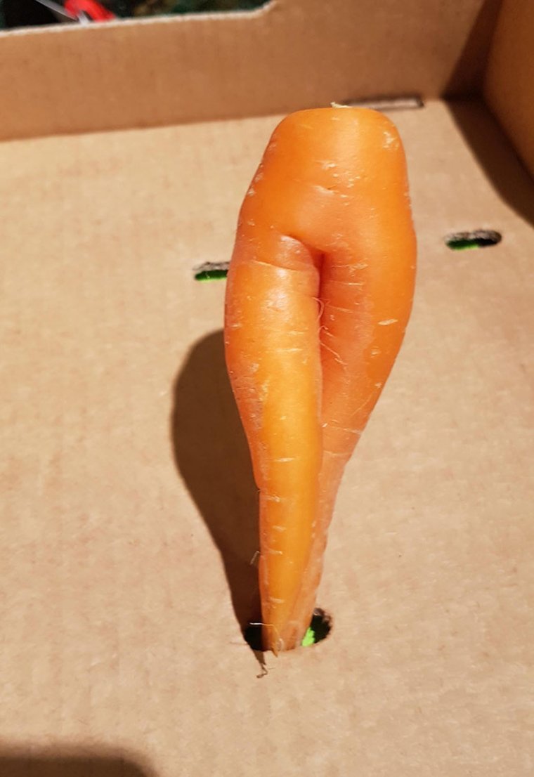 Ноги морковки