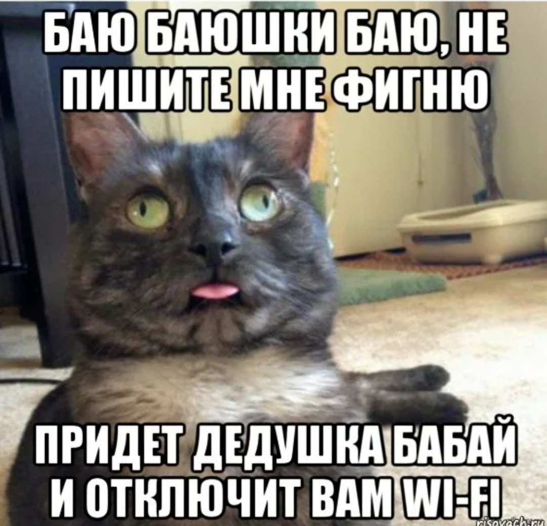 Выключи предыдущий. Мемы с котами. Мемы про котов. Мемы с котами и надписями. Мемы про письма счастья.