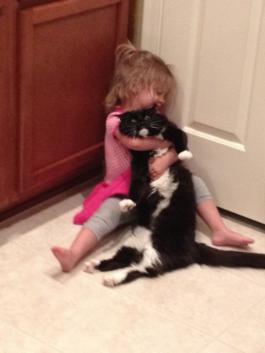 Девочка обнимает кота
