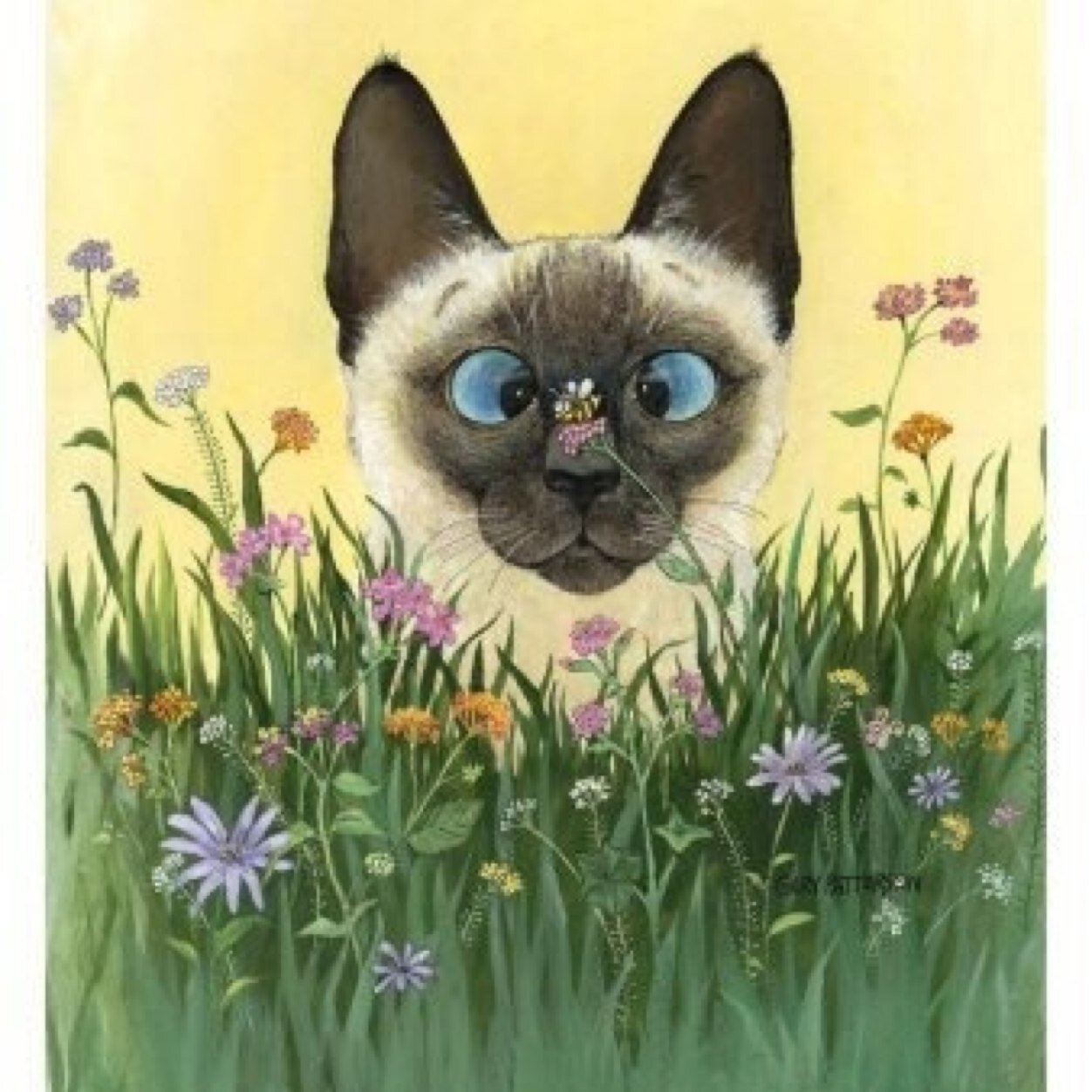 Смешные открытки с котом. Художник Гэри Паттерсон (Gary Patterson). Рисовать котика. Сиамская кошка. Нарисованные коты.