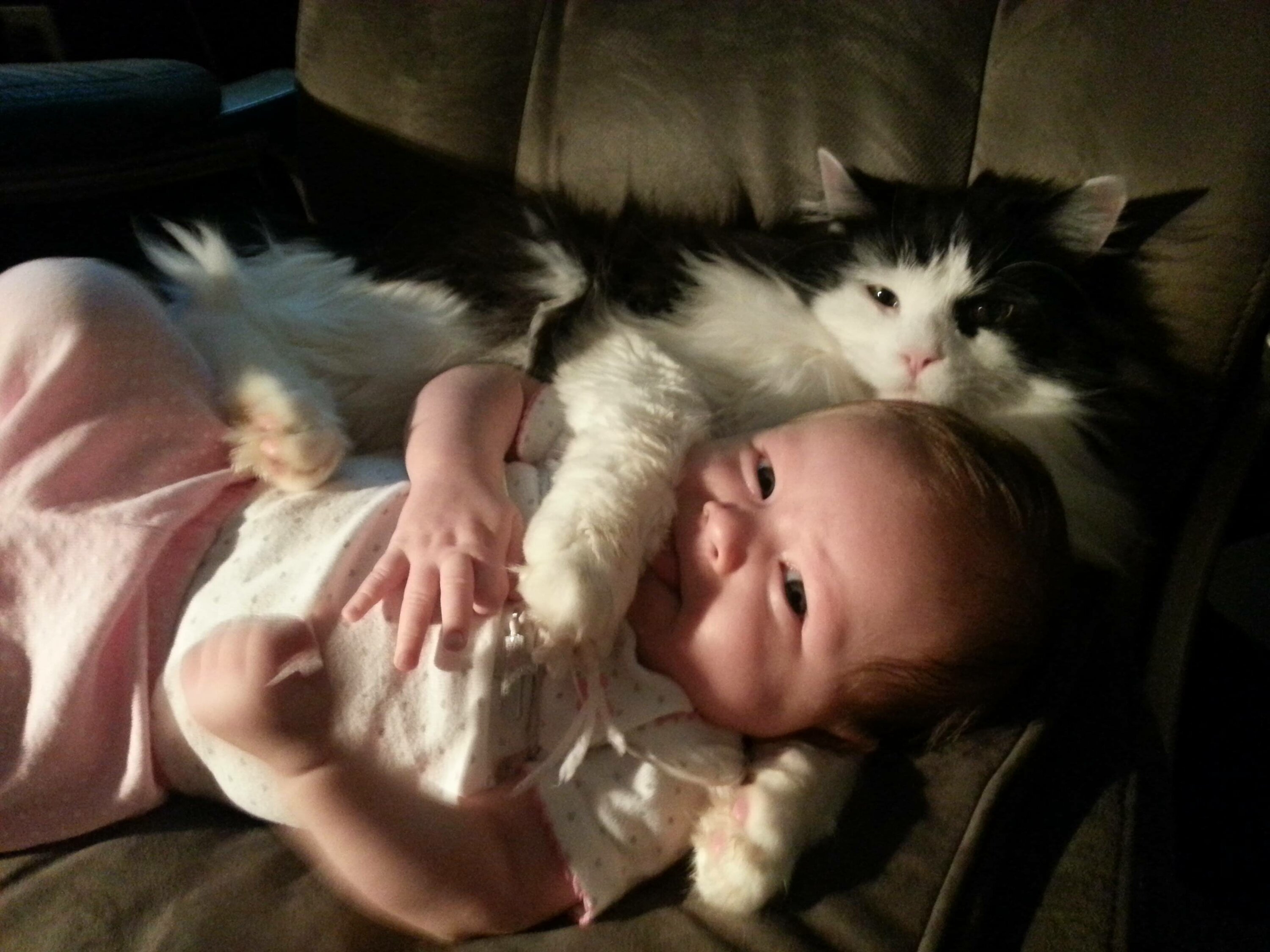 Включи малышам котиков. Котёнок-ребёнок. Кошка для детей. Маленькие дети и кошки. Кот и младенец.