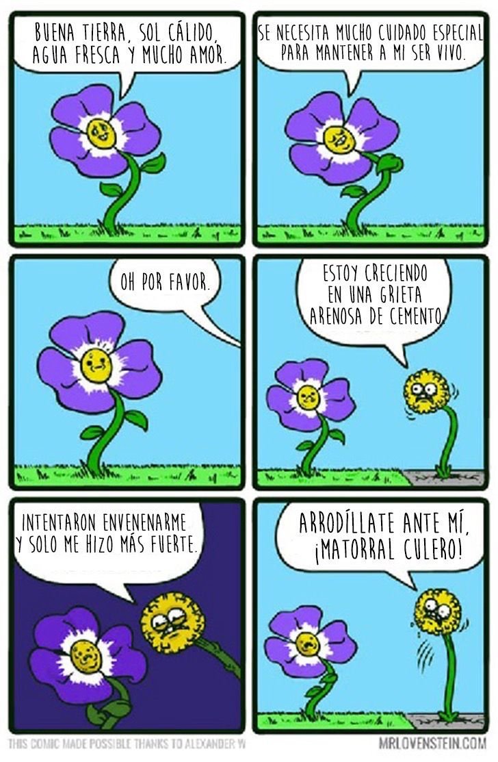 Комикс про цветы