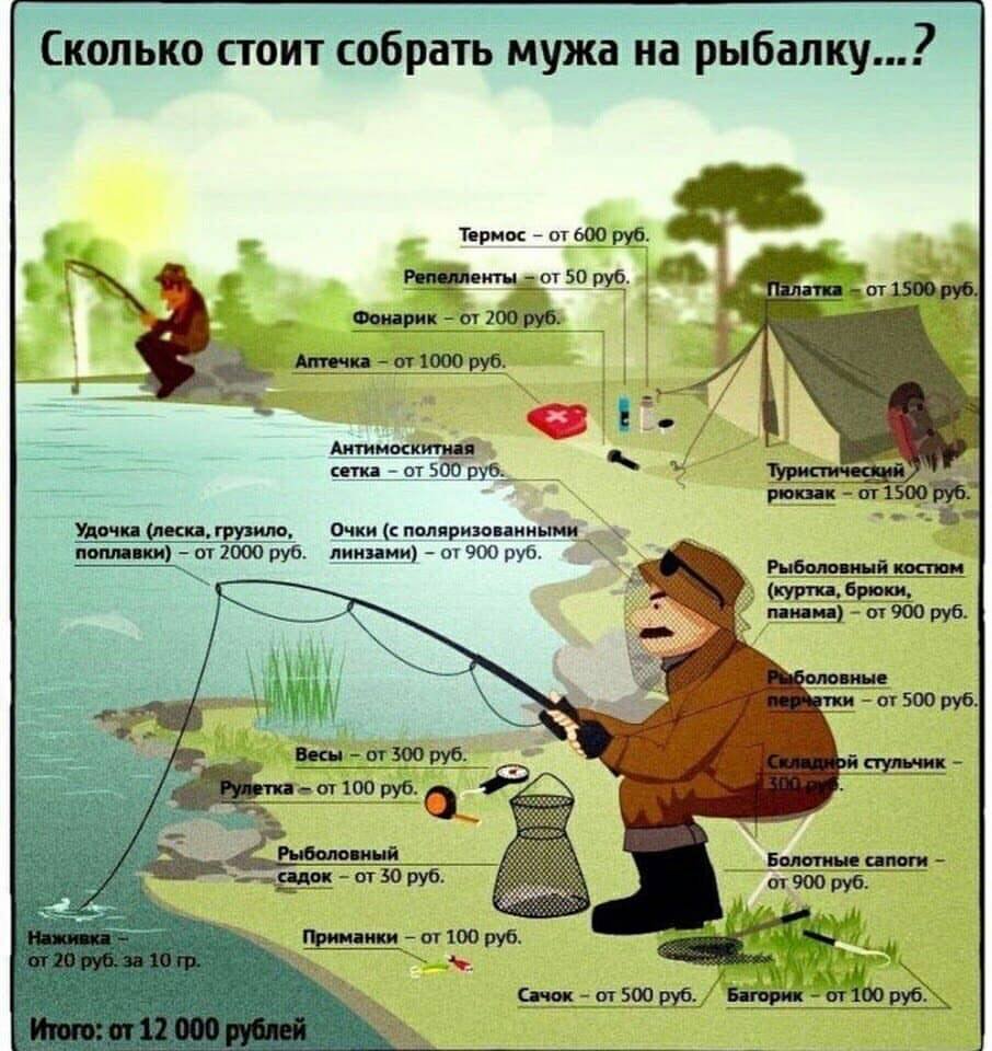 Инфографика рыбалка