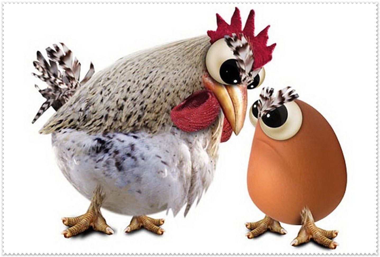Что появилось первее курица. Курица или яйцо. Курица с яйцами. Веселая курица. Курица или яйцо картинка.
