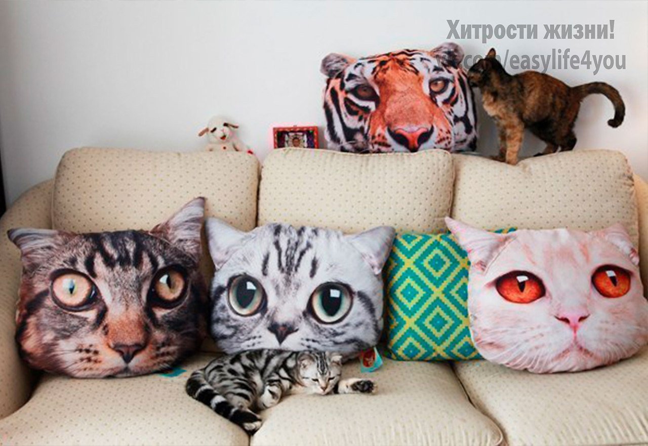 Характер кошки по подушечкам. Кот-подушка. Подушка котик. Креативные подушки. Подушки с котами.