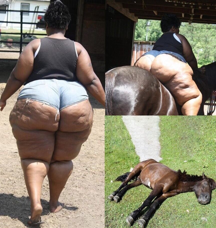 Толстая женщина на лошади