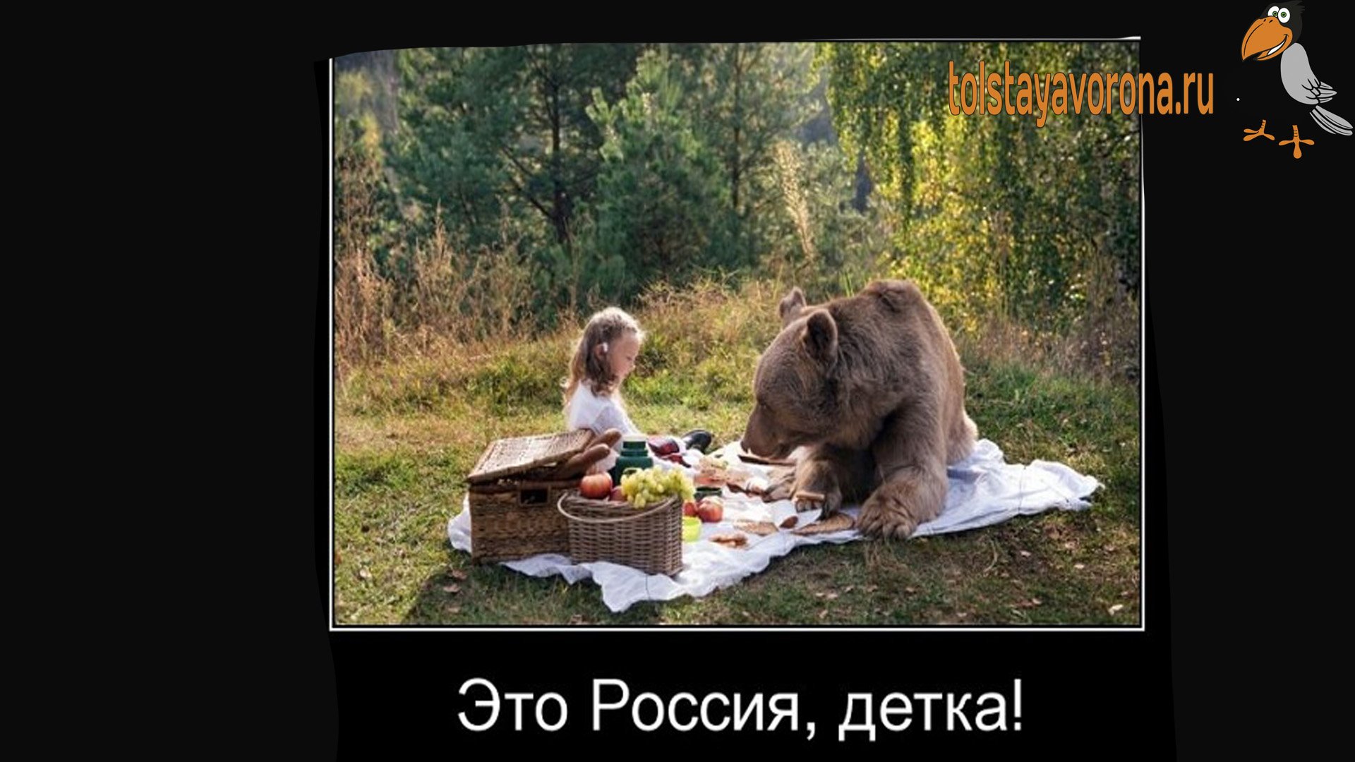 Мотиваторы русских. Это Россия детка. Медведь мотиватор. Мишка демотиватор. Медведь прикол.