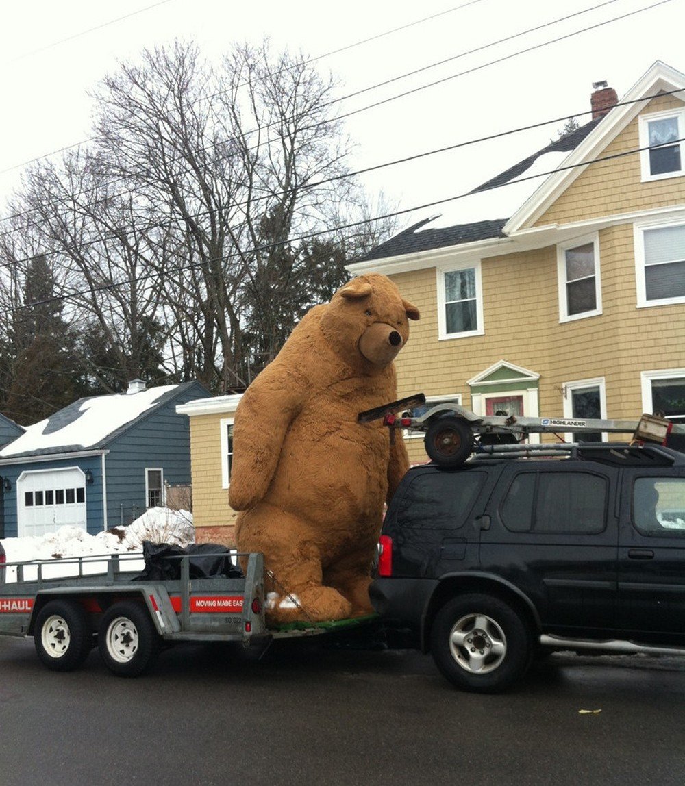 Медведь возле машины