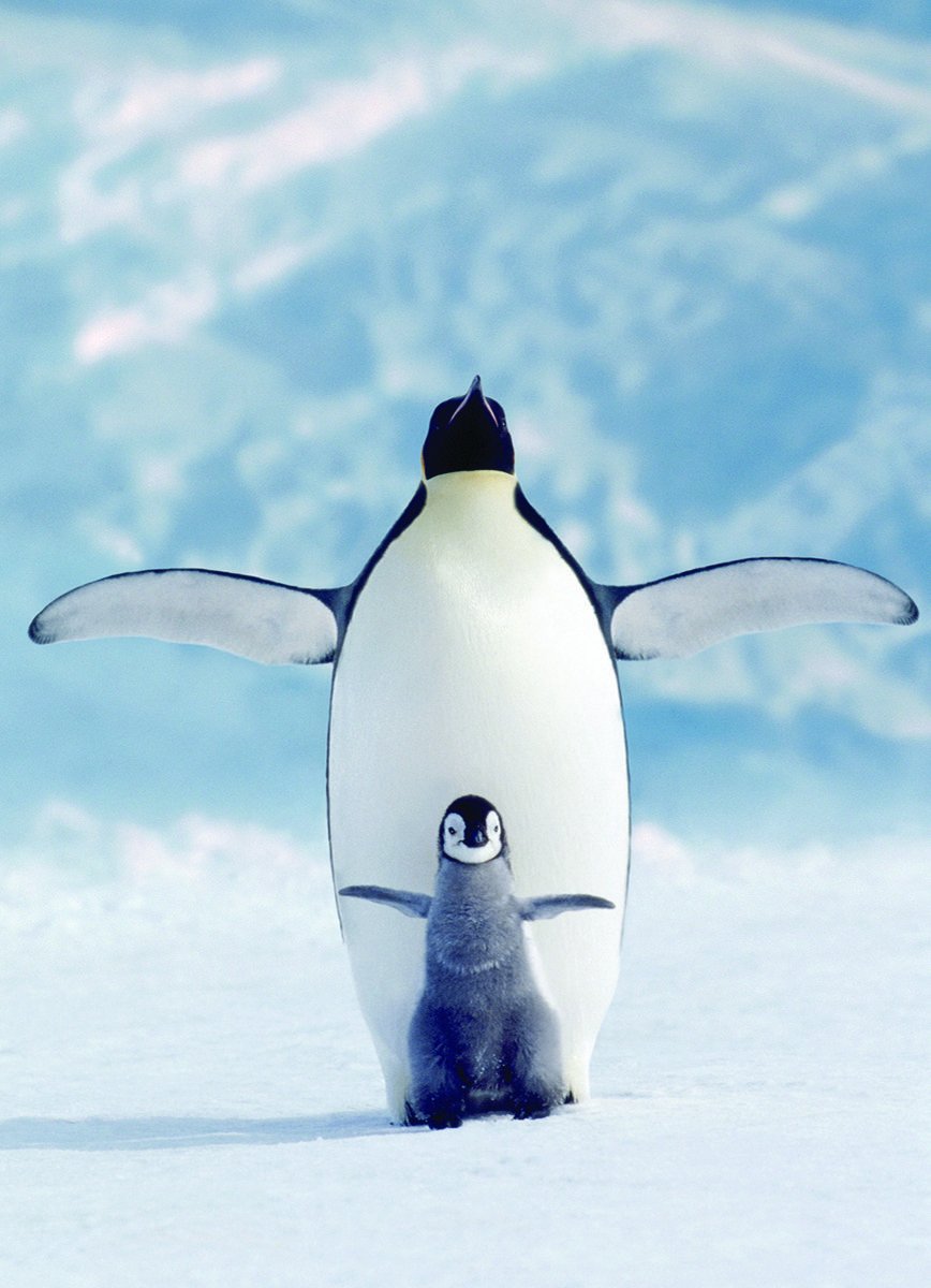 Веселый Пингвин